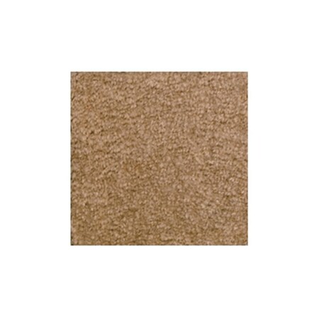 Carpets For Kids Mt. St. Helens - Sahara Rug 2146.108